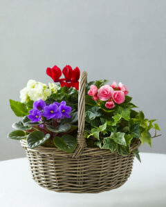 Polites Florist, Custom Floral Design, Farm Fresh Flowers, Green & Flowering Plants